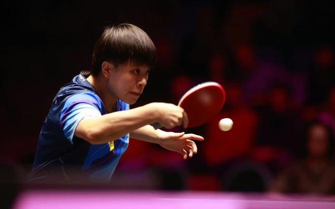 球迷们可以 球迷们可以