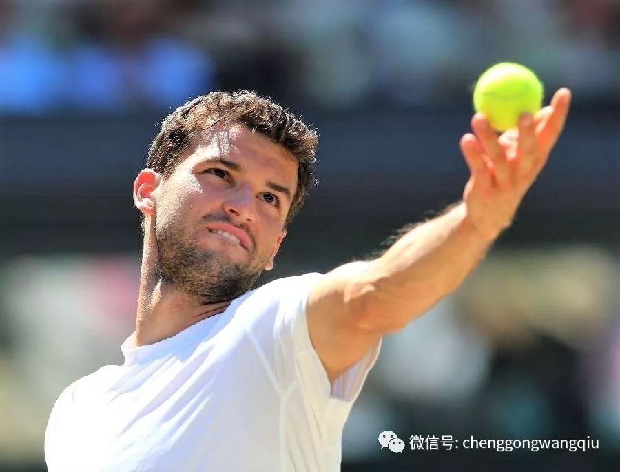 在场上展开 在场上展开