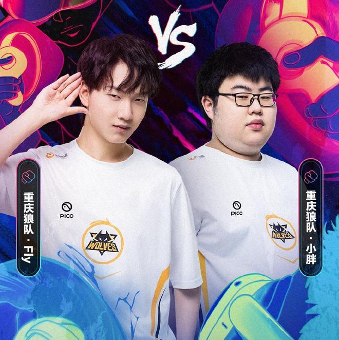 的主要原因 的主要原因